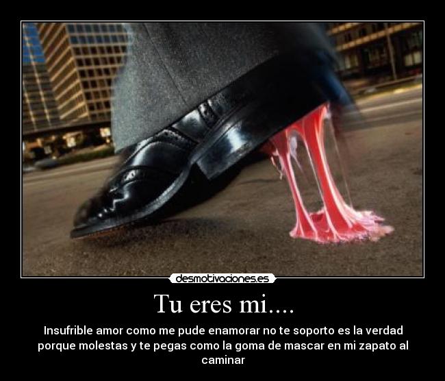 Tu eres mi.... -