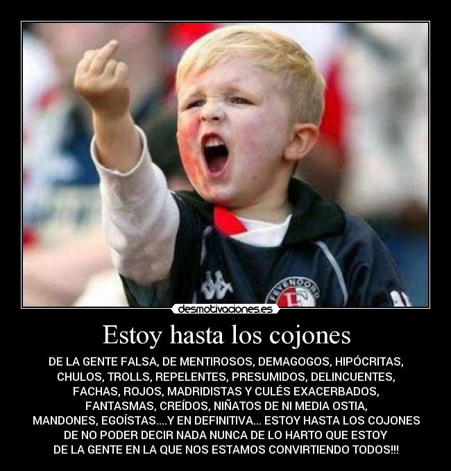 ESTOY HASTA LOS COJONES estoy hasta los cojones: