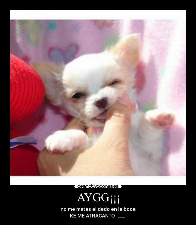 AYGG¡¡¡ - no me metas el dedo en la boca
KE ME ATRAGANTO -___-