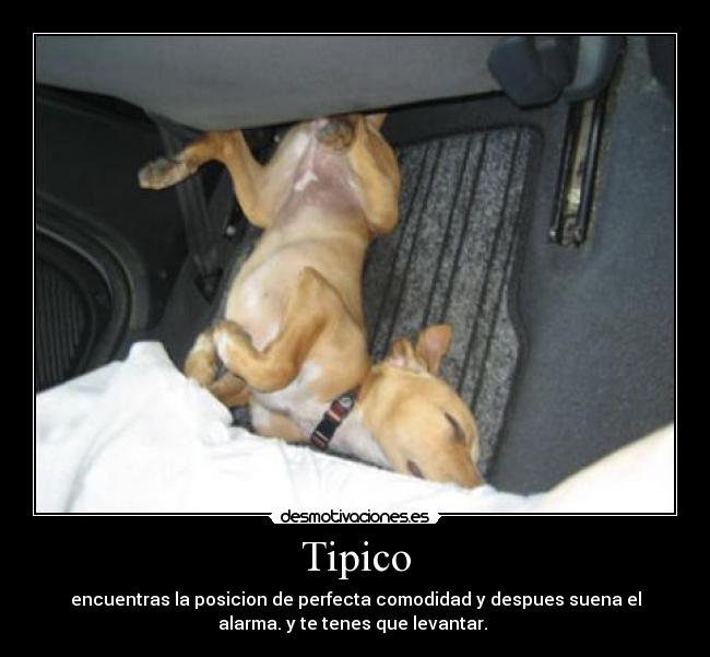 Tipico -