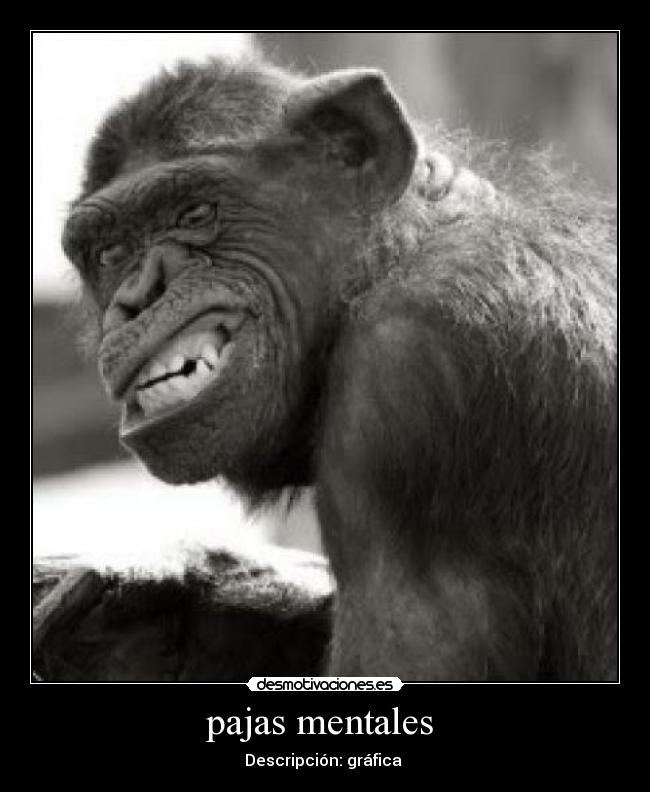 pajas mentales - Descripción: gráfica