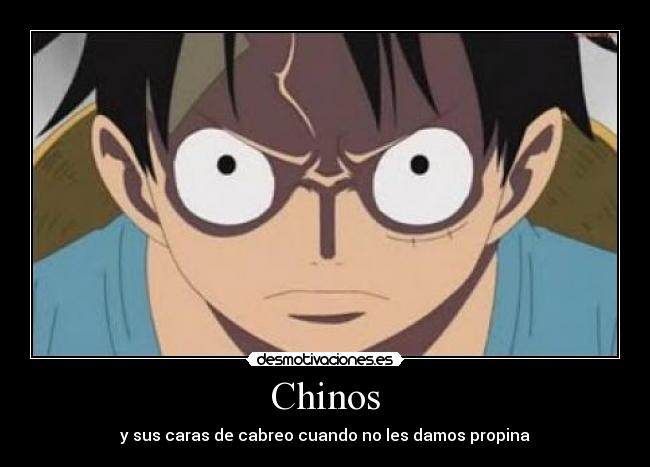 Chinos - 