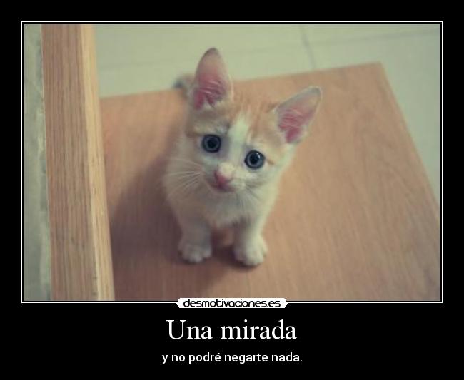 carteles gato desmotivaciones