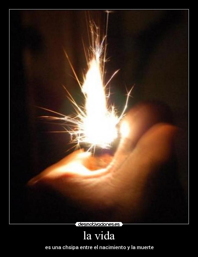 la vida -