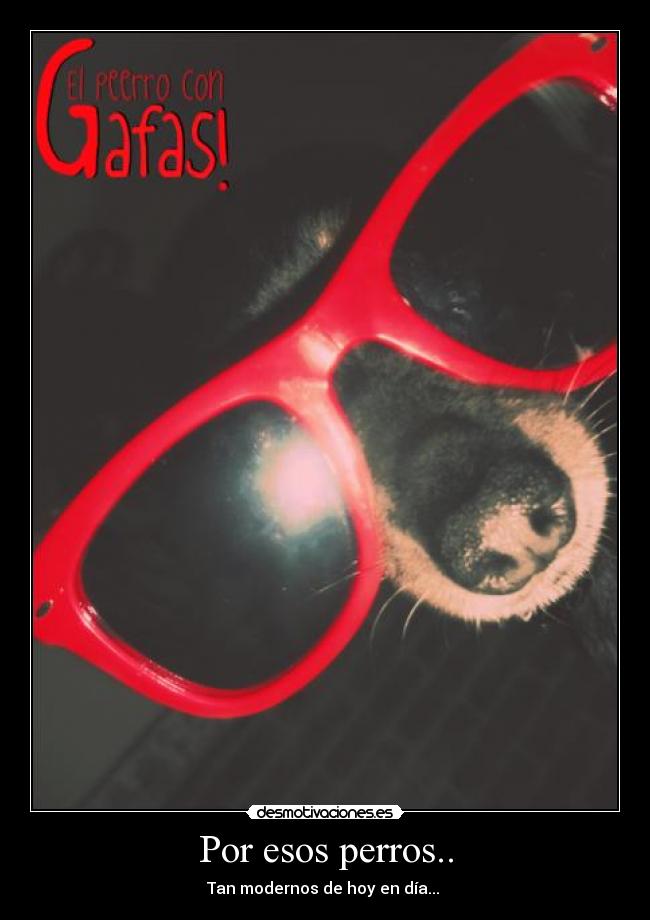 carteles perros modernos chulo desmotivaciones