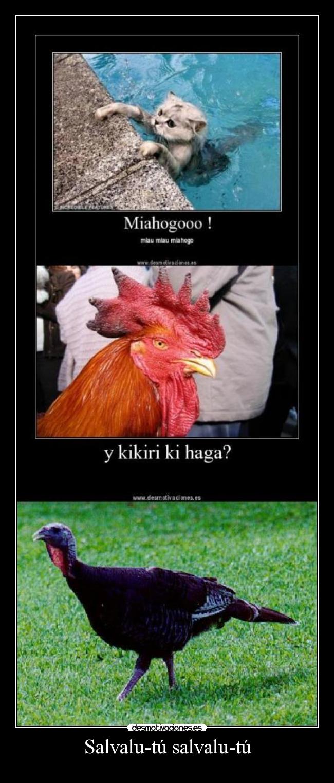 Salvalu-tú salvalu-tú - 