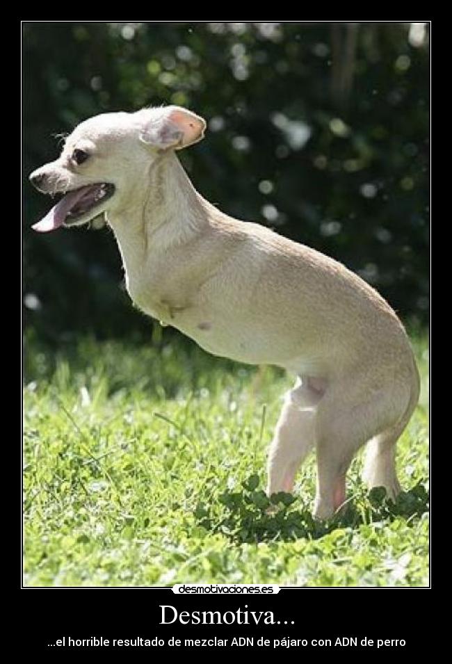 carteles juanji desmotivaciones