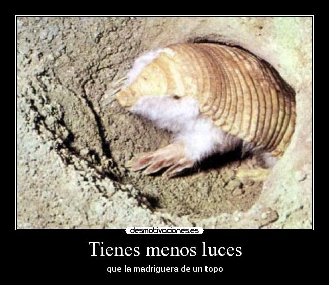 Tienes menos luces -