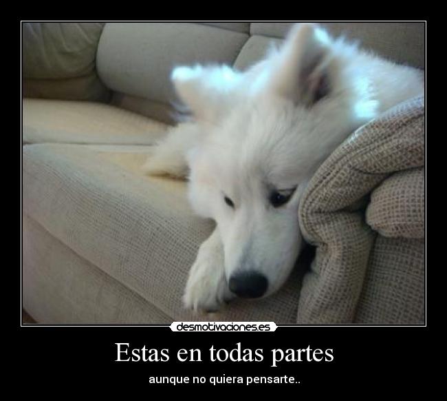 Estas en todas partes - aunque no quiera pensarte..