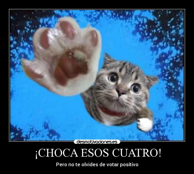 ¡CHOCA ESOS CUATRO! -