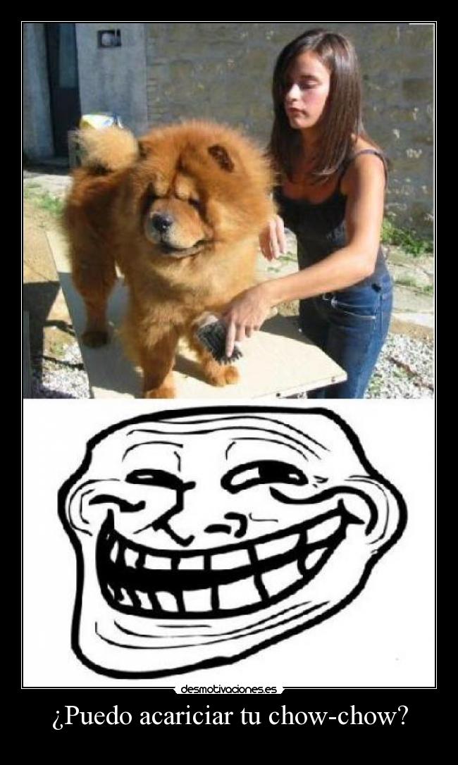 carteles chow-chow desmotivaciones