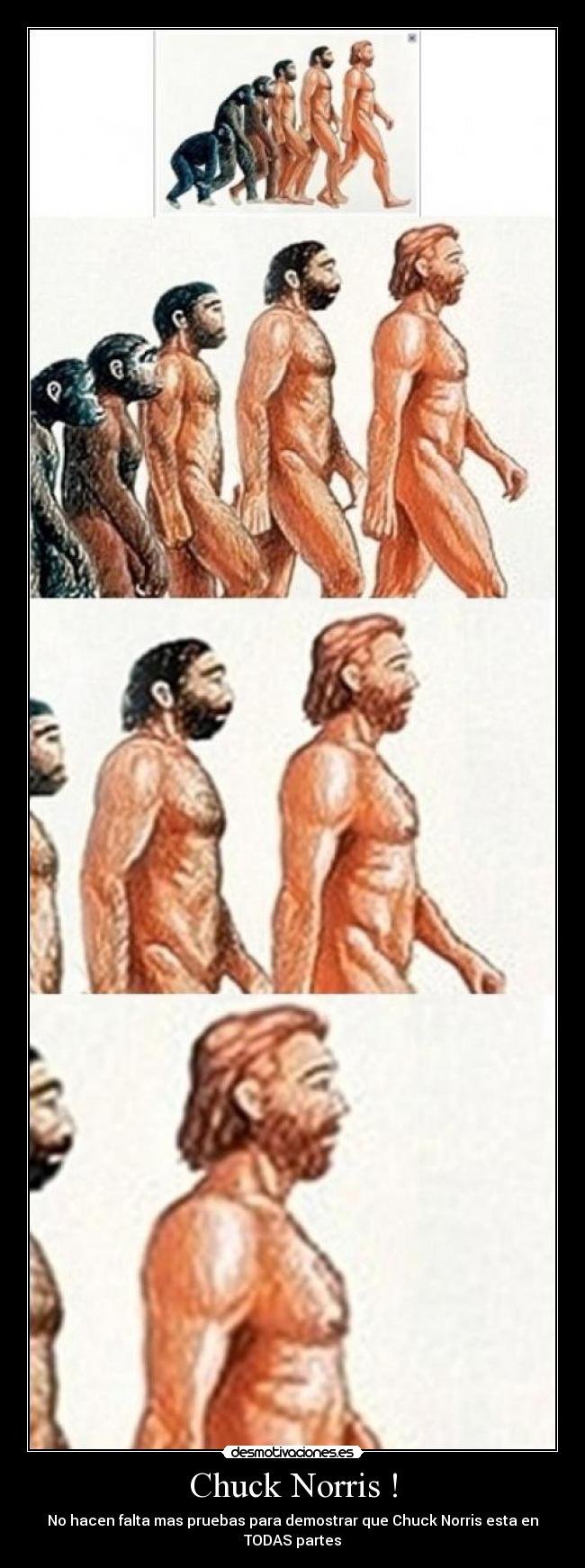 Chuck Norris ! - No hacen falta mas pruebas para demostrar que Chuck Norris esta en
TODAS partes