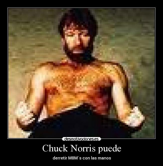 Chuck Norris puede -