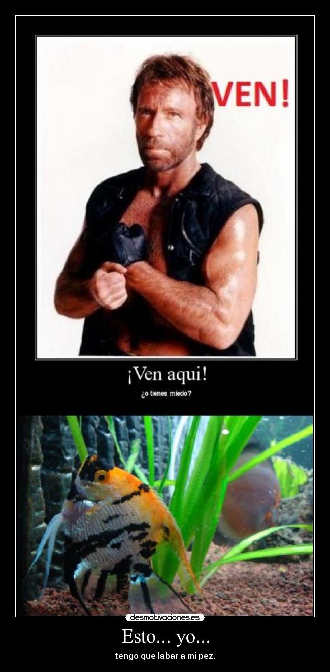 Esto... yo... - tengo que labar a mi pez.