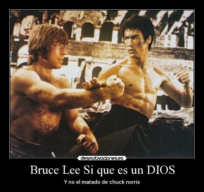 carteles dios chuck mierda bruce lee dios desmotivaciones