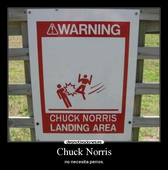 Chuck Norris - no necesita perros.