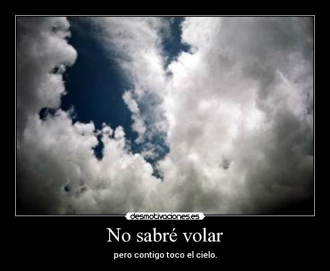 No sabré volar - 