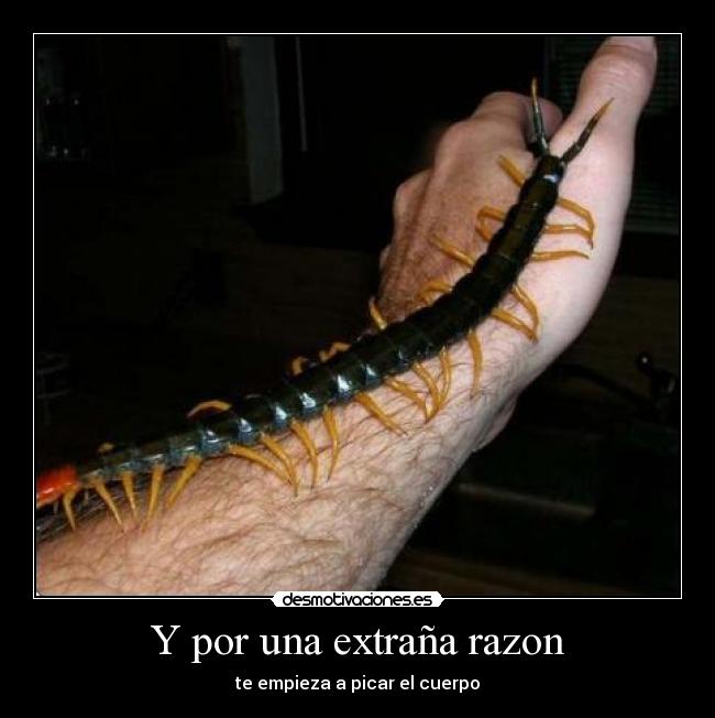 carteles uuuuuuuuuuuuuuh desmotivaciones