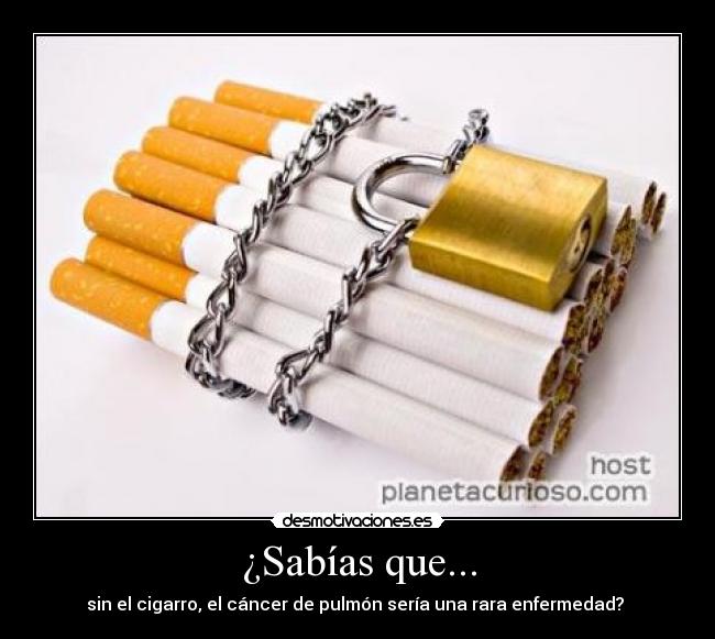 ¿Sabías que... - sin el cigarro, el cáncer de pulmón sería una rara enfermedad? 