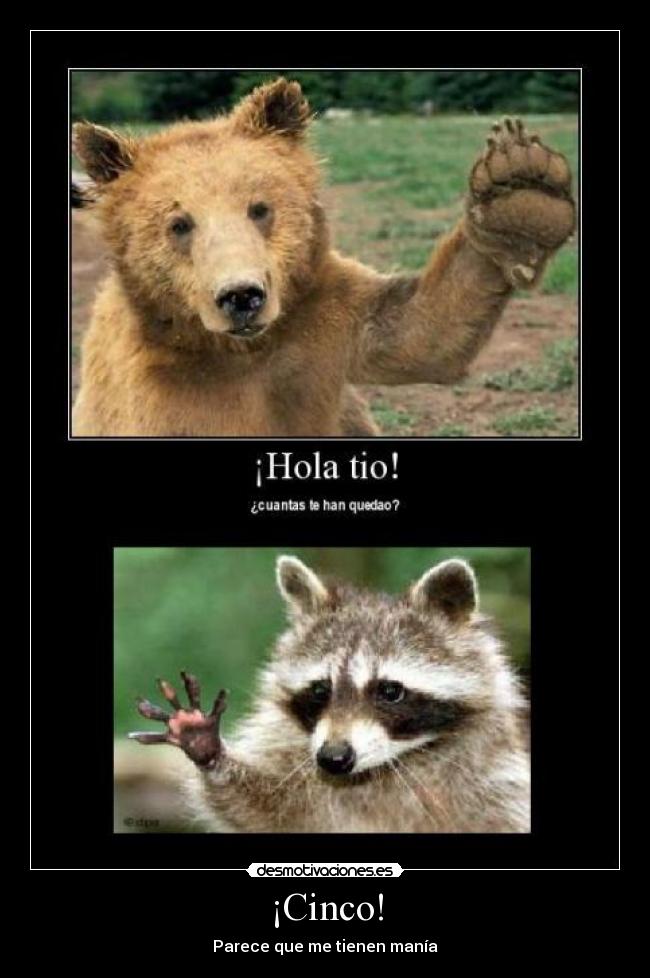 ¡Cinco! - Parece que me tienen manía