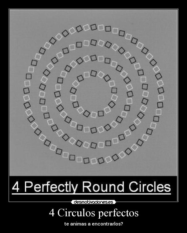 4 Circulos perfectos -