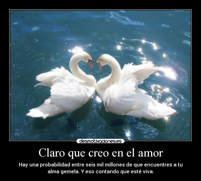Claro que creo en el amor - Hay una probabilidad entre seis mil millones de que encuentres a tu
alma gemela. Y eso contando que esté viva.