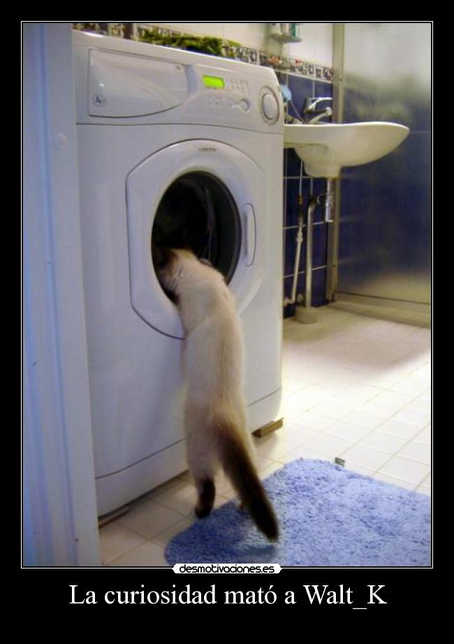 La curiosidad mató a Walt_K -