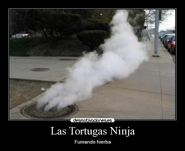 Las Tortugas Ninja - 