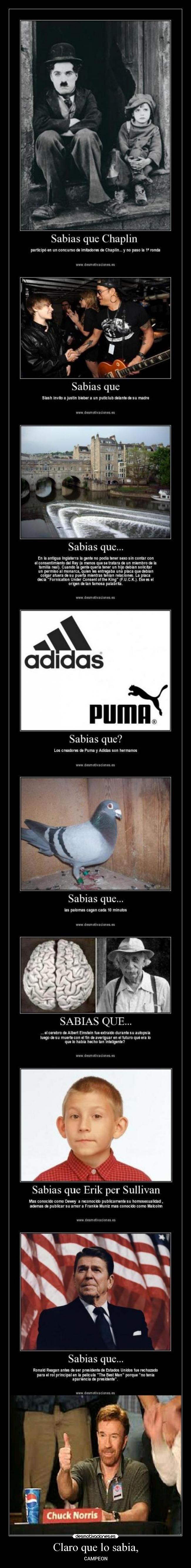 Claro que lo sabia, - CAMPEON