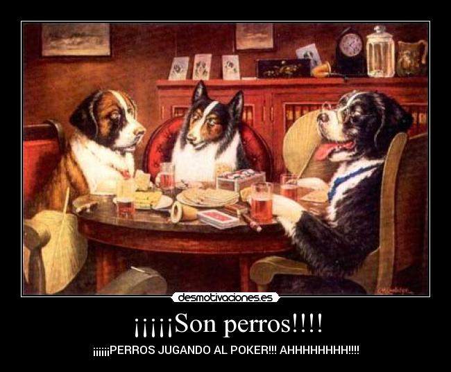 ¡¡¡¡¡Son perros!!!! - ¡¡¡¡¡¡PERROS JUGANDO AL POKER!!! AHHHHHHHH!!!!