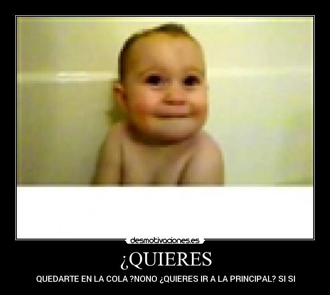 ¿QUIERES -