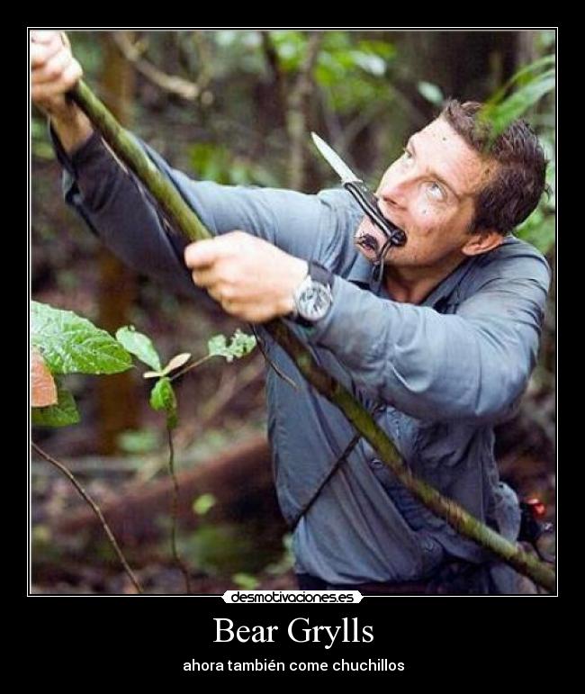 Bear Grylls -
