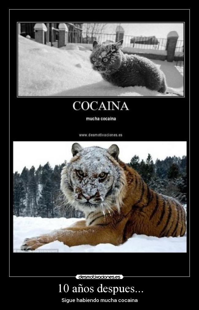 10 años despues... - Sigue habiendo mucha cocaina