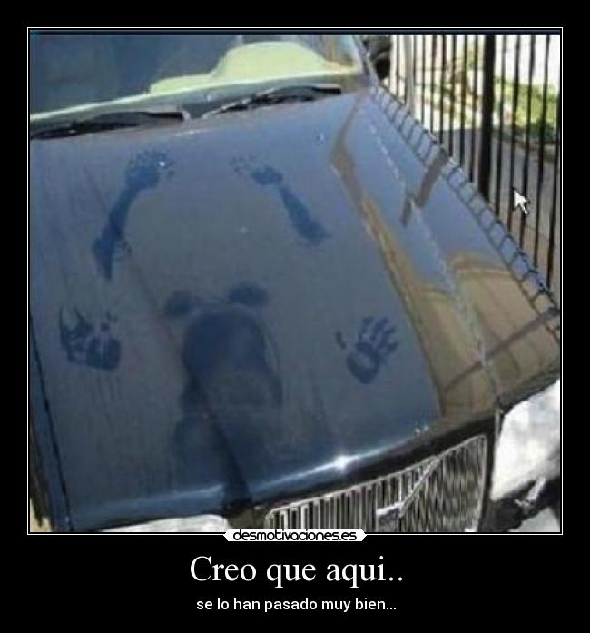 Creo que aqui.. - 