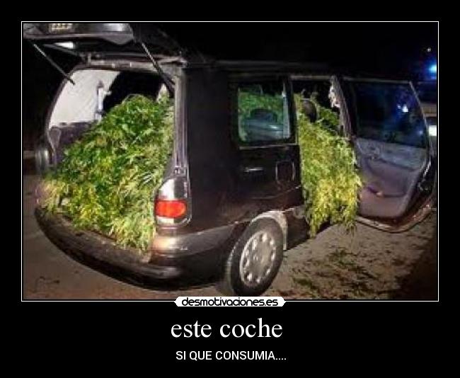 este coche - SI QUE CONSUMIA....