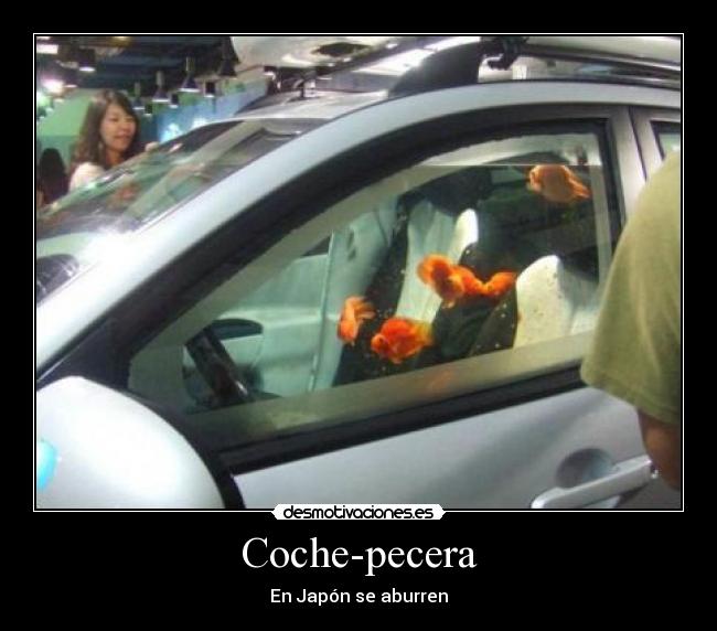 Coche-pecera - En Japón se aburren