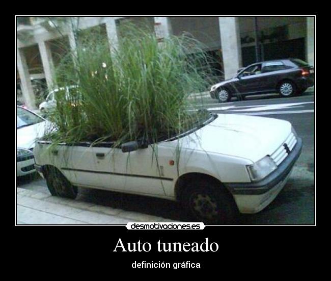 Auto tuneado - definición gráfica