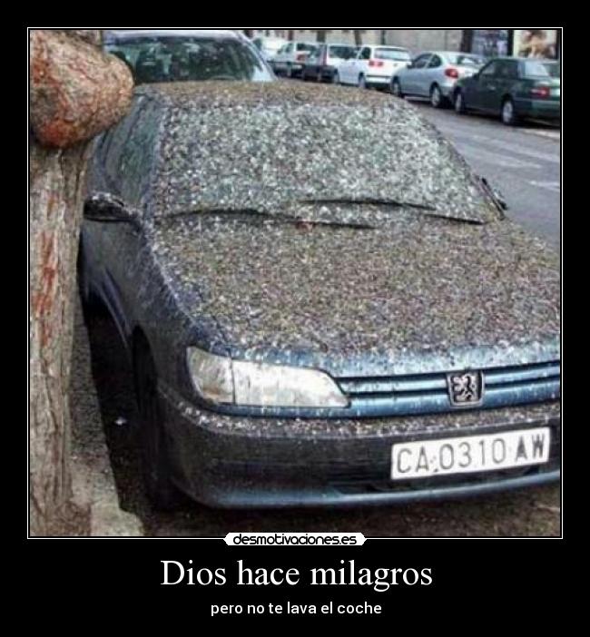 Dios hace milagros - pero no te lava el coche