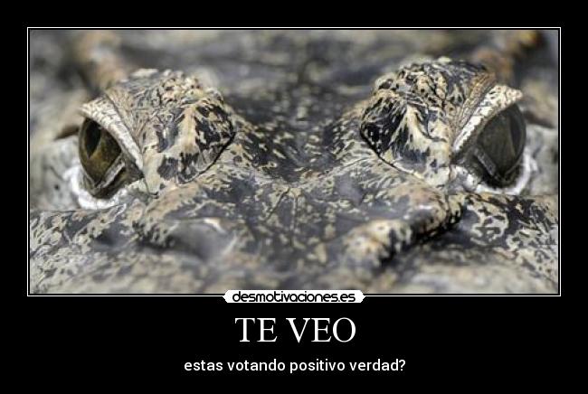 TE VEO - estas votando positivo verdad?