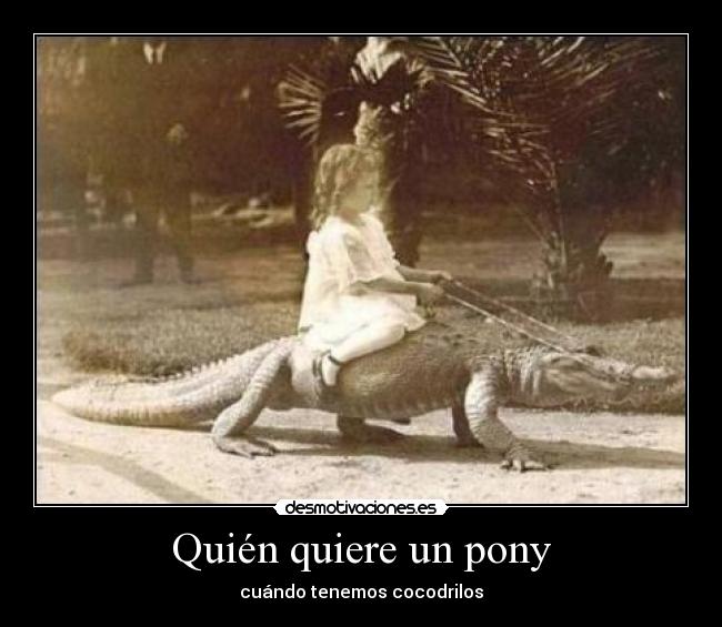 Quién quiere un pony - 