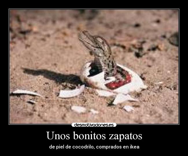 Unos bonitos zapatos - de piel de cocodrilo, comprados en ikea