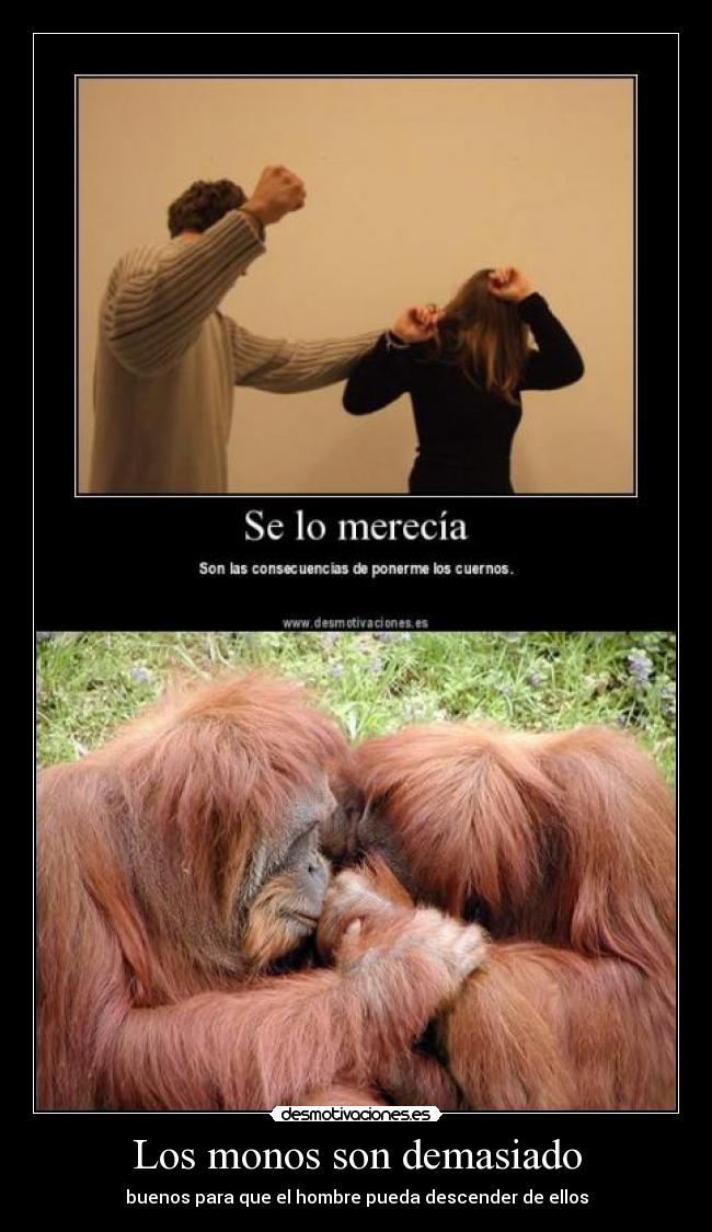 Los monos son demasiado - 