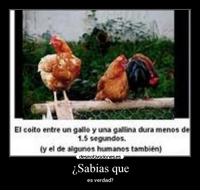 ¿Sabias que - es verdad?