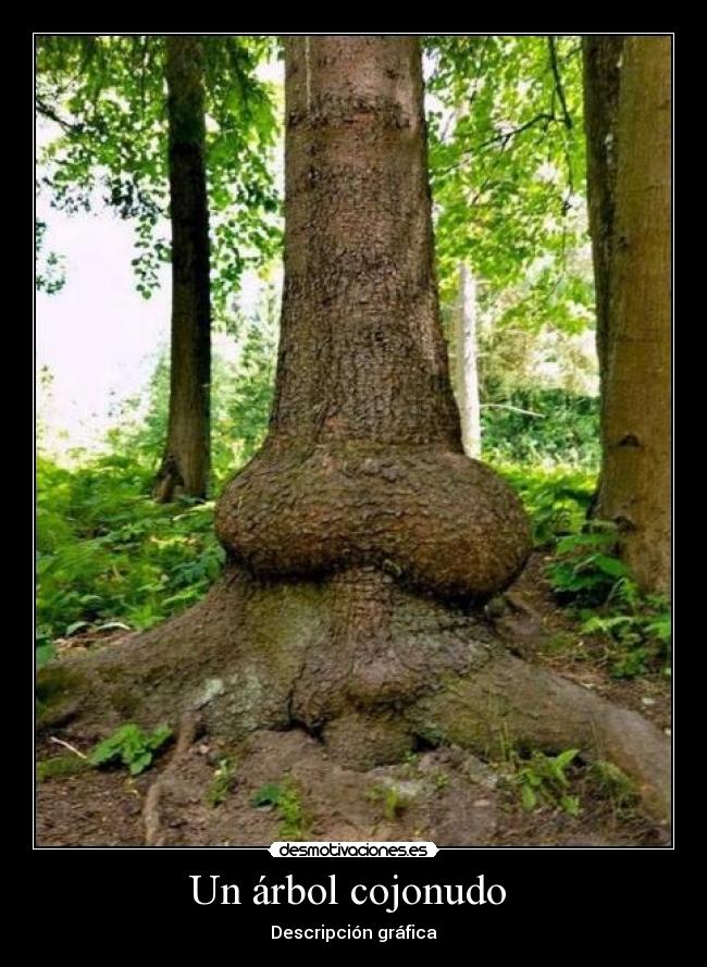Un árbol cojonudo - Descripción gráfica