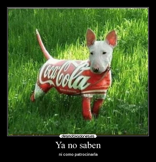 Ya no saben - ni como patrocinarla