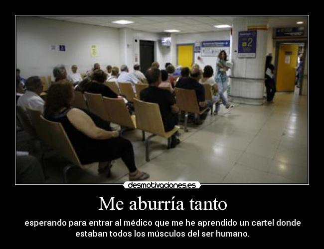 Me aburría tanto - esperando para entrar al médico que me he aprendido un cartel donde
estaban todos los músculos del ser humano.