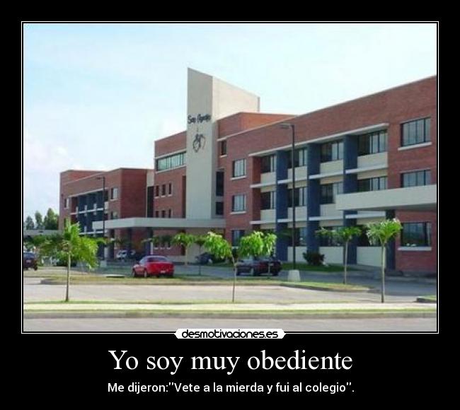 Yo soy muy obediente -
