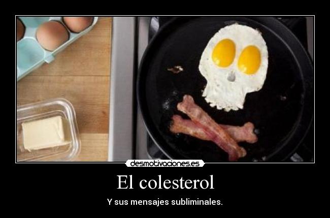 El colesterol - 