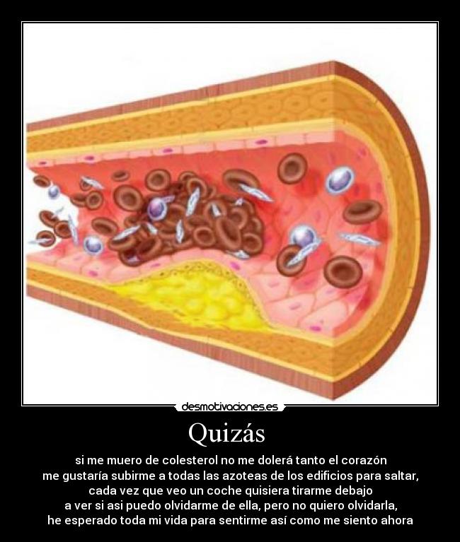 Quizás  - 