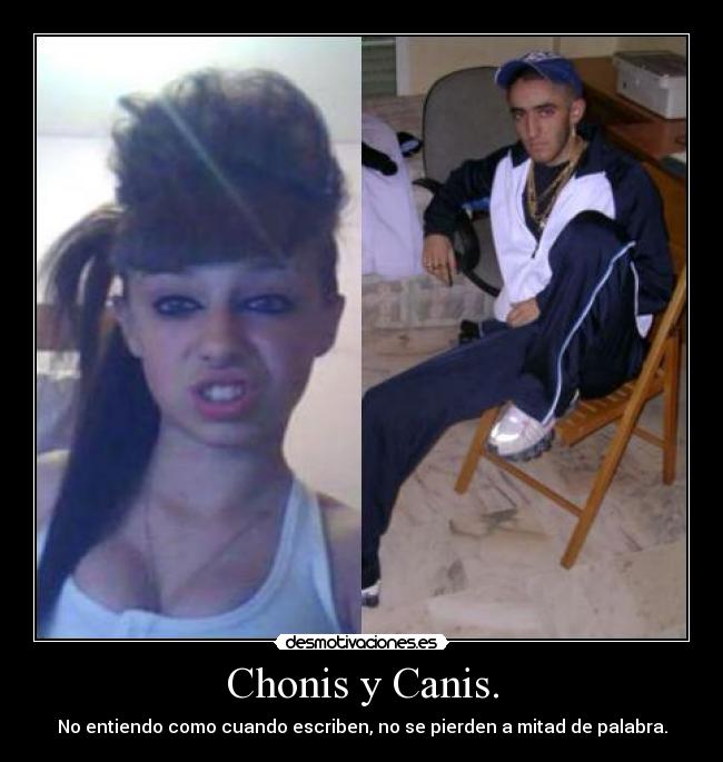 Chonis y Canis. -